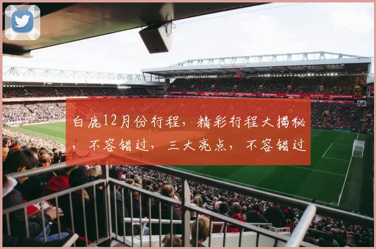 白鹿12月份行程，精彩行程大揭秘，不容错过，三大亮点，不容错过