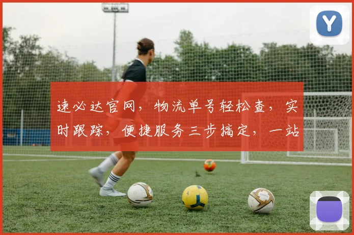速必达官网，物流单号轻松查，实时跟踪，便捷服务三步搞定，一站式查询体验