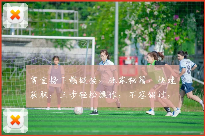 赏金榜下载链接，独家秘籍，快速获取，三步轻松操作，不容错过，必看攻略，立即下载