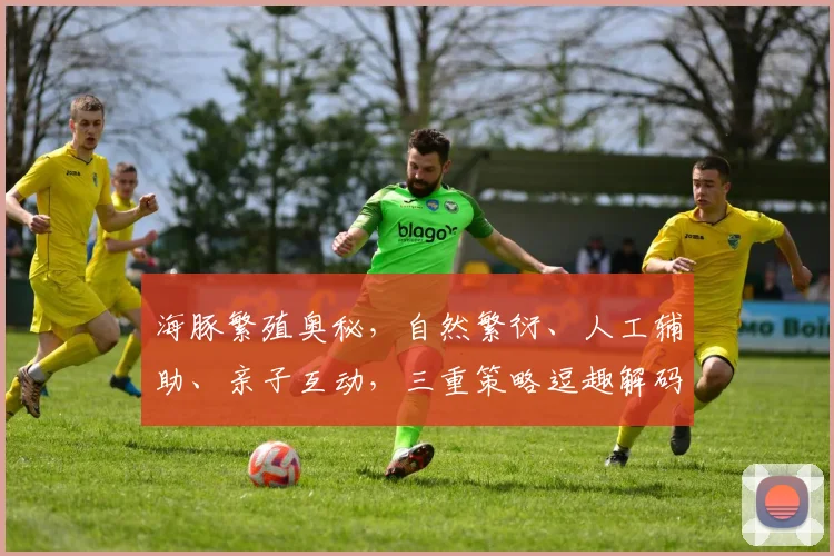 海豚繁殖奥秘，自然繁衍、人工辅助、亲子互动，三重策略逗趣解码