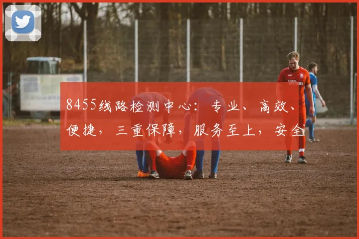 8455线路检测中心：专业、高效、便捷，三重保障，服务至上，安全无忧，您的首选