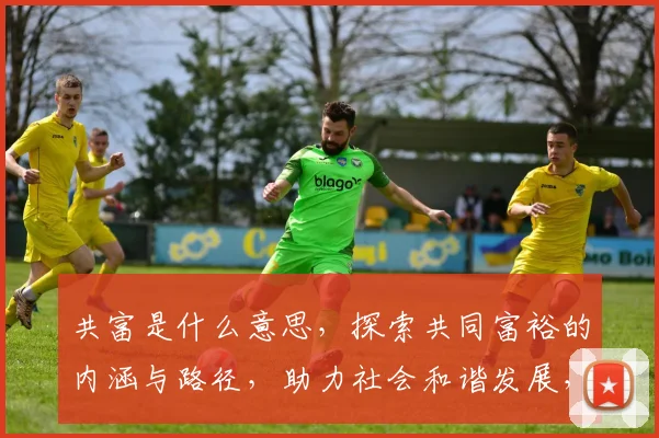 共富是什么意思，探索共同富裕的内涵与路径，助力社会和谐发展，三个维度解读。